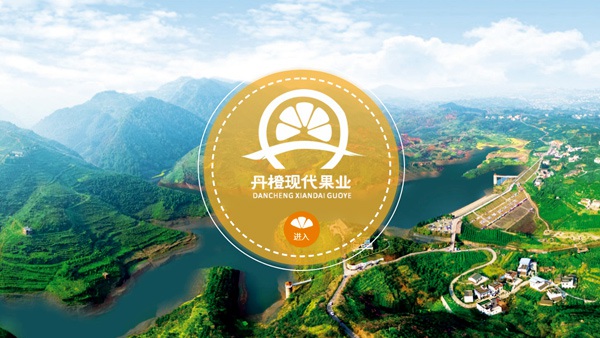 四川省丹橙现代果业有限公司网站建设