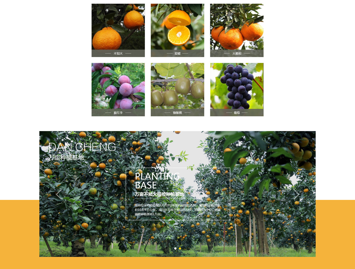 四川省丹橙现代果业有限公司网站建设_眉山市农业科技公司官网设计